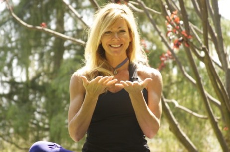 The Ahimsa Mission